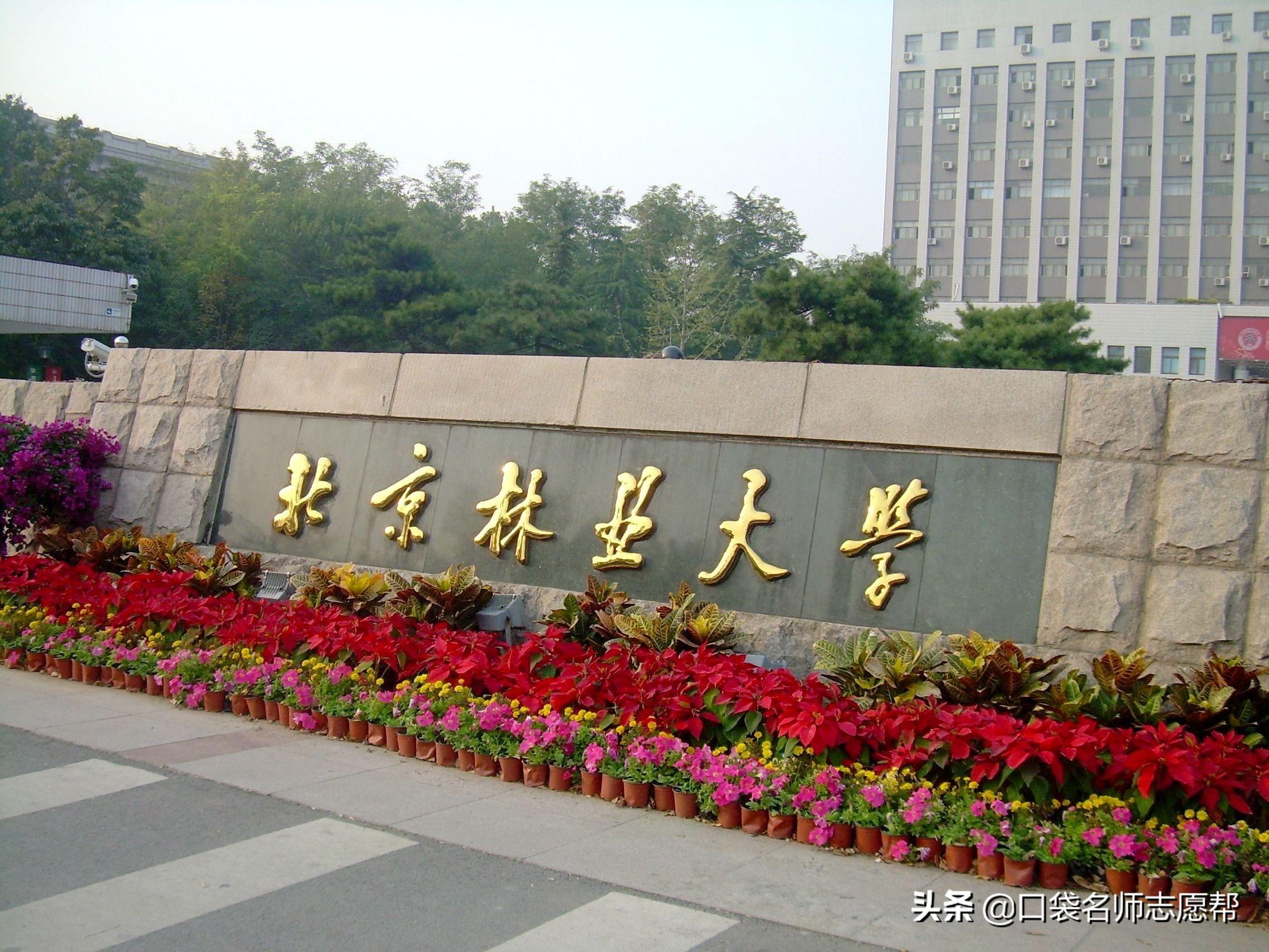 中央民族大学占地面积很小吗(全国大学面积排行榜)