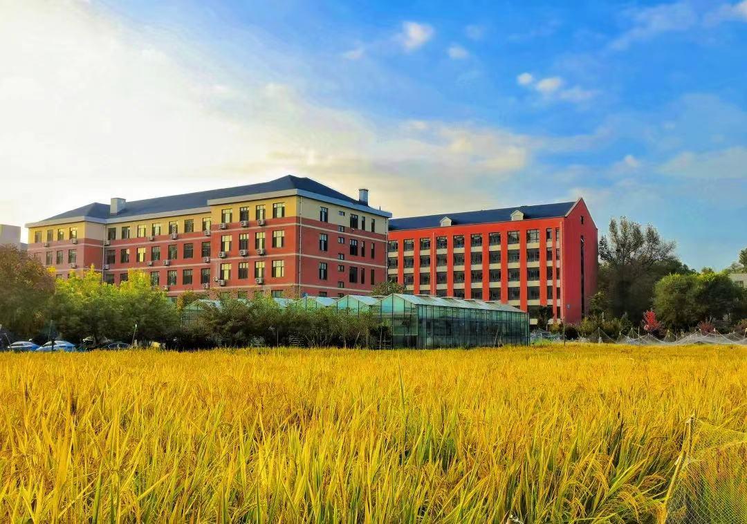 沈阳农业大学校园风景图片